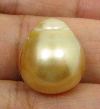 HUGE Natural GOLDEN Losse SOUTH SEA PEARL   15.2x13.4mm  