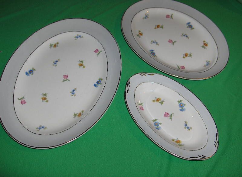 12 Dinner Plates 10 1/8” (2 plates have small chips under rims and a 