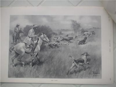 Lion Hunting Hounds East Africa Lionel Edwards 1912  