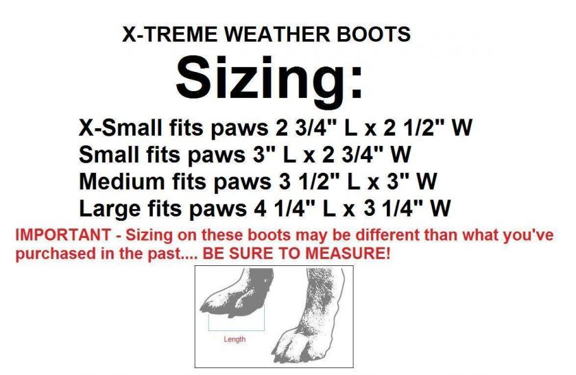 Hint   Have your dog stand on a piece of paper and trace around the 