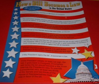 HOW A BILL BECOMES A LAW History Poster Chart NEW  