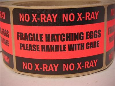 HATCHING EGGS FRAGILE NO X RAY Sticker Label  
