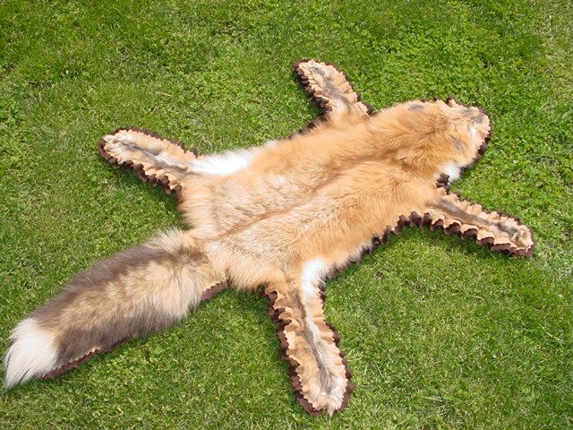 Red Pearl Fox Fur Hand Sewn Felt Rug Tanned hide/skin  