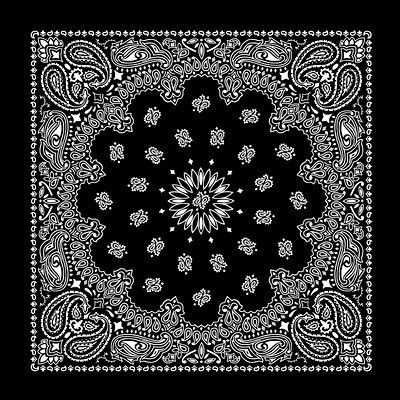 Paisley Bandana MADE IN USA 100% COTTON  