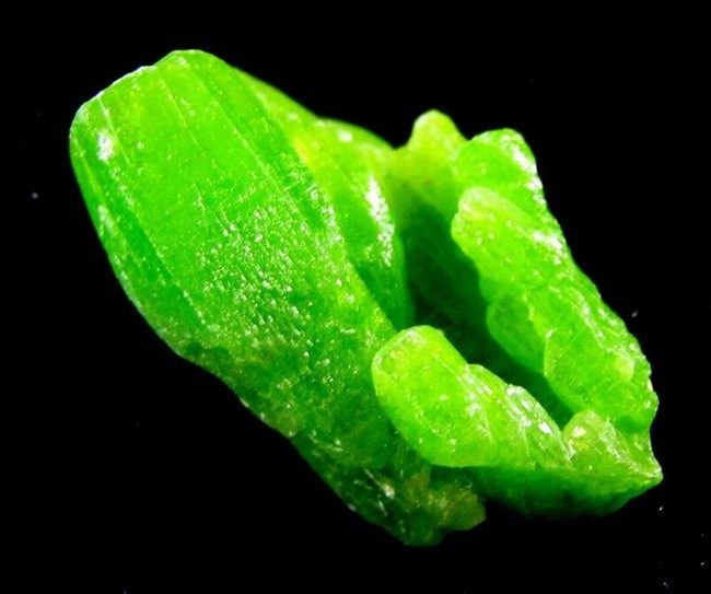 Pyromorphite Single Prism Crystal pygx2ie0240  