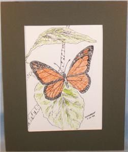 Vintage Pen & Ink Drawing Monarch BUTTERFLY on Branch ZITTERKOPF 1984 