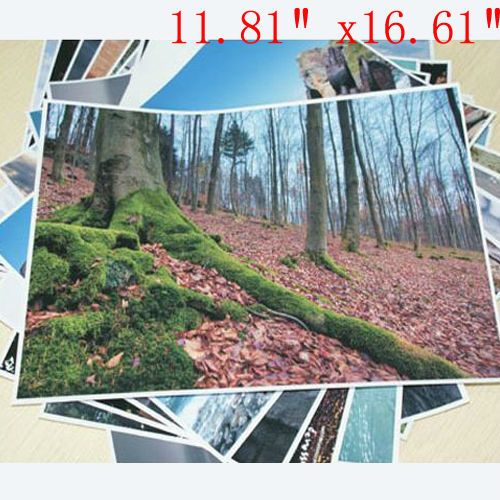 200 sheets Premium Glossy Photo Paper A4 8.39X11.81 for Inkjet 