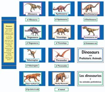 DINOSAUR Bulletin Board Bilingual Spanish Science NEW  