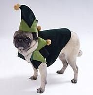 Ella the Elf Suit Dog Cat Costume Clothes XSmall XS  