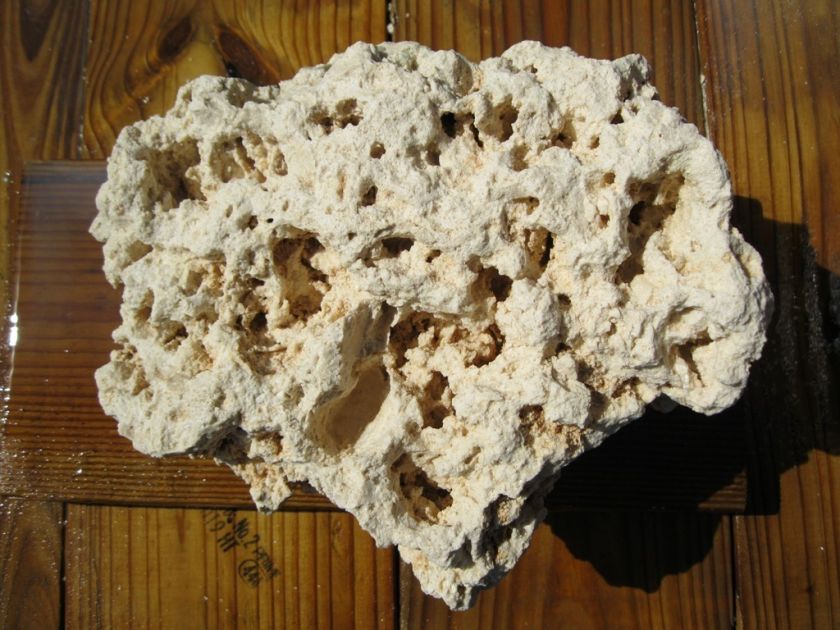 Dry Rock for Aquarium, Terrarium or Fish tank Florida Limestone  